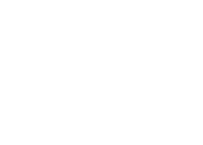 screen-advantage-logo